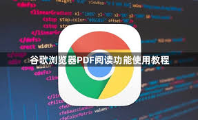 谷歌浏览器 PDF 阅读器使用技巧与设置方法全攻略